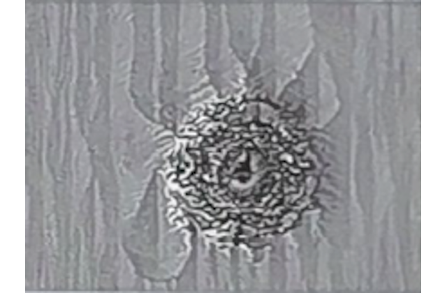 Примеры инспекции дефектов. Частицы