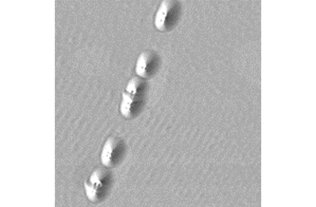 Примеры инспекции дефектов. Выпуклости